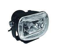 Carpoint 1510138 Jeu de Phares Anti-Brouillard Blanc Rectangulaire E11