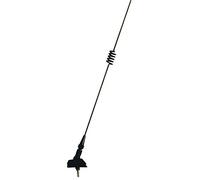 Carpoint 2010012 Antenne Universel de Toit Noir