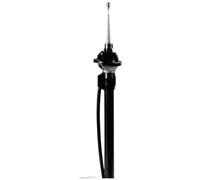 Carpoint Antenne manuelle Chrome 4 sections 12 V Universelle Angle réglable 0-30°