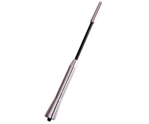 CARPOINT 2010047 Antenne