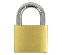 Carpoint Cadenas 50mm