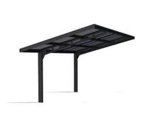 Canopia Carport déporté en aluminium et polycarbonate Sydney 6 x 3 m - 2 poteaux - 707273