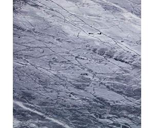 Carrara/Vinyle Couleur