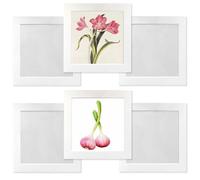 Carré Cadre Photo 20 x 20 cm,Lot de 6 Cadre Photo pour Collage Photos Décoration Mural,Cadres en Carton,Livré Avec un Film Plastique Transparent,Blanc,Installation Autocollante,Aans Clous Nécessaires