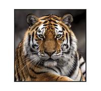 Carré Simili Cuir Imprimé 44x44 Cm Tigre