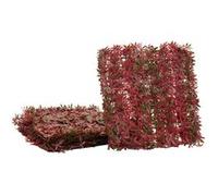 Carreau de mur MENDLER HWC-L78 4x 50x50cm = 1m² érable rouge Rouge G