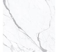 Carrelage Porcelaine Effet Marbre Statuaire Blanc Mat 30X60 - Essu951