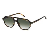 Carrera 341/S Lunettes de Soleil, Doré (Havana Gold), 54/17/145 Homme