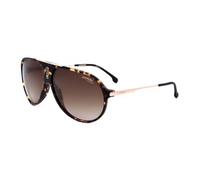 Lunettes Carrera Hot65 086 Ha 63