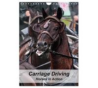 Carriage Driving - Horses in Action (Wall Calendar 2026 DIN A4 portrait), CALVENDO 12 Month Wall Calendar: Active horses in training for carriage driving sport.