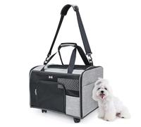 Carrier de chats avec roues, porteur de chats sur roues Transporteur