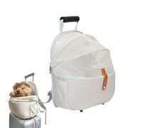 Carrier Des Chats Pour Les Petits Et Moyens Chats - Sac De Voyage Pour Animaux De Compagnie À Face Moule Avec Maille De Ventilation Et Bandoulière | Caisse De Chat Portable Approuvée Par Les Compagnie