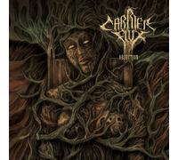 Carrier flux - Objection [Import]