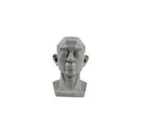 Carroterr Modèle de tête pour artistes, tête planaire standard, pour apprendre les plans et les détails légers, tête de mannequin humain pour le dessin médical et artistique, la peinture à skecthing