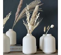 Carrot's Den - Lot de 6 Petits vases en céramique Blanche pour décoration d'intérieur | Vases bohème pour Fleurs sèches + Plantes d'intérieur | Mariage, Maison, Centre de Table, Moderne, Minimaliste