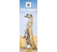 Carrousel Worldwide WWF Calendrier mural 2027 Motif bébé animaux