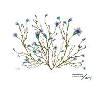 CARRY Bottle Bouteille en Verre HANAMI | 1 L - 1 pièce