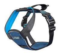 CarSafe Crash Tested Dog Harness Blue XS