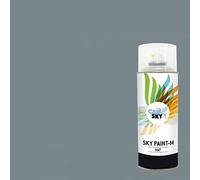 CARSKY Bombe de peinture RAL Gris Petit-Gris 7000 finition mat 400ml