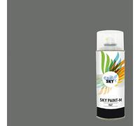 CARSKY Bombe de peinture RAL Gris Souris 7005 finition mat 400ml