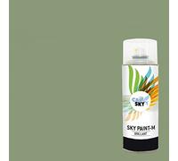 CARSKY Bombe de peinture RAL Vert Pâle 6021 finition brillante 400ml