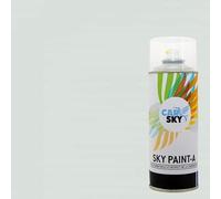 CARSKY Bombe peinture carrosserie compatible avec Renault BLANC GLACIER 389 et vernis brillant -> 2 aérosols 400ml