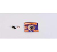 Carson 500905011 Bougie de préchauffage Rossi R7 - Modélisme, modélisme RC, Accessoires pour modèles RC, véhicules radiocommandés, Accessoires pour modélisme