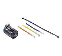 Carson 500906258 - Moteur BL 11,5T Sens. Dragster-Pro Or, Moteurs RC, pièces de Tuning, Accessoires