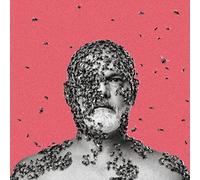 Carson - The Wilful Pursuit of Ignorance [Import]