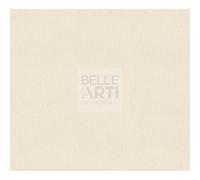 CARTA PASTELMAT 360 GR F.TO 70X100 BEIGE