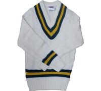 Carta Sport - Pull pour homme - Cricket CS1713 (M) (Vert/ambre)