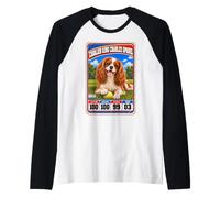 Carte à Collectionner Cavalier King Charles Spaniel Vintage Sports Manche Raglan