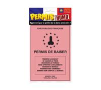 Carte à offrir Vintage 'Permis de Baiser' - Blanc