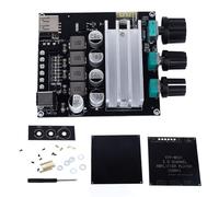 Carte amp à Double Canal BT 5.3 Power Amp Board Home Automotive Entertainment DC12-24V