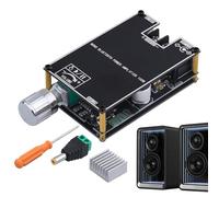 Carte Amplificateur Audio Sans Fil, Carte Amplificatrice Haut-Parleur Mono 100W, Accessoire Audio Sans Fil pour Subwoofer - Home Studio, Sonorisation Live et Événements Extérieurs