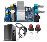 Carte amplificateur mono 100 W, module d'amplificateur audio numérique pour karaoké et karaoké, amplificateur de compact pour un son de haute qualité, idéal pour les systèmes audio