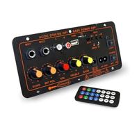 Carte amplificateur MP3 600W 5.0, 12V 24V, double Microphone, Module d'ampli USB TF FM, musique de voiture, son basse sans perte for caisson basses Artistes et groupes(D300 600W Amplifier)