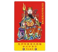 Carte amulette chinoise 2025 - Carte porte-bonheur Feng Shui, l'année du serpent | Carte de prospérité pour protection du bonheur, carte d'amulette festive pour la santé, la prospérité et les jours