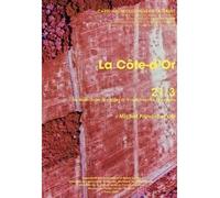 Carte archéologique de la Gaule 21/3 La Côte d’Or de Nuits-Saint-Georges à Voulaines-les-Templiers - PROVOST MICHEL - Academie Inscriptions Belles Lettres - broché - Atlas / carte