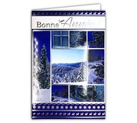 Carte Bonne Année Meilleurs Vœux Argenté avec Enveloppe Nature en Hiver sous la Neige Flocons Forêt Sapins Noël Paysage Montagne Oiseau Cerf Renne Barques Eau Bleue Gelée Souhaits 61-4053-B BA