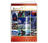 Carte Bonne Année Meilleurs Vœux en Or Doré Brillant avec Enveloppe Oiseau Rouge-gorge Nature en Hiver sous la Neige Flocons Jardin Forêt Sapins Baies Rouges Bougie Lanterne Souhaits 61-4053-A BA