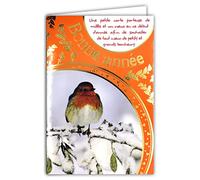 Carte Bonne Année Meilleurs Vœux en Or Doré Scintillant étincelant avec Enveloppe pour Souhaiter beaucoup de Bonheur Oiseau Rouge-gorge Animal Jardin Neige Houx Hiver Janvier Nouvel An 61-4049-A BA