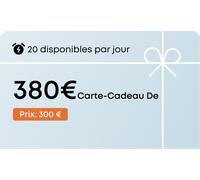 Carte cadeau-380€ 380 €