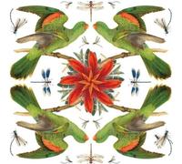 Carte carrée avec enveloppe Red-winged Parrot
