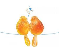 Carte carrée Swarovski CL2602 Orange Oiseaux