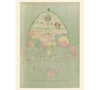 Carte - Carte birmane du monde Edition bilingue anglais-français - Richard Carnac Temple - Reliefs Editions - Coffret - Atlas / carte