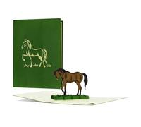Carte d’anniversaire élégante avec chevaux 3D pop-up - Cadeau pour l'équitation et les amoureux des chevaux - Cadeau pour les femmes et les filles, F20