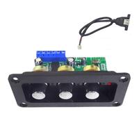 Carte d'amplification audio Bluetooth 5.0 30 W mono-étage, décodeur de disque U, avec ligne USB