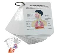 Carte d'anatomie du système du corps humain, 1 ensemble de guide d'apprentissage médical et infirmière avec anneaux, carte d'apprentissage portable pour étudiants, cadeau pour étudiants, cartes flash