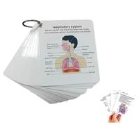 Carte d'anatomie du système du corps humain, carte d'apprentissage portable pour étudiants, 1 guide d'apprentissage médical et infirmière avec anneaux, cadeau pour étudiants, cartes flash carrées
